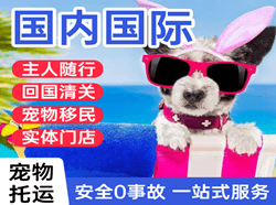 乌鲁木齐地窝堡航空快递国际宠物托运 【国
